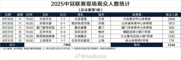 2025中冠职业联赛  现场观赛人群  人数统计（总总决赛 