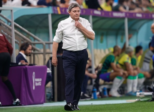 主场作战  不敌阿尔巴尼亚！塞尔维亚主帅斯托伊科维奇赛后宣布